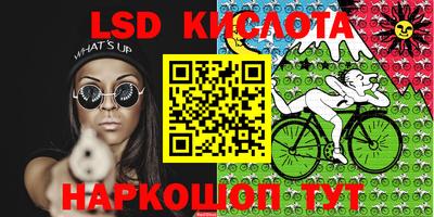 спиды Владимир