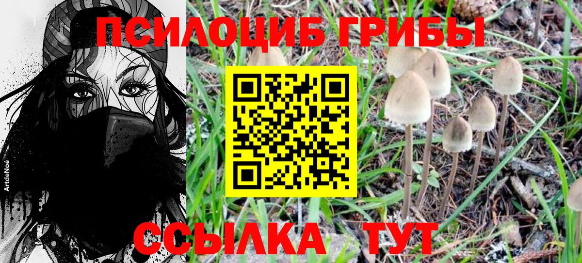 Псилоцибиновые грибы GOLDEN TEACHER Железноводск